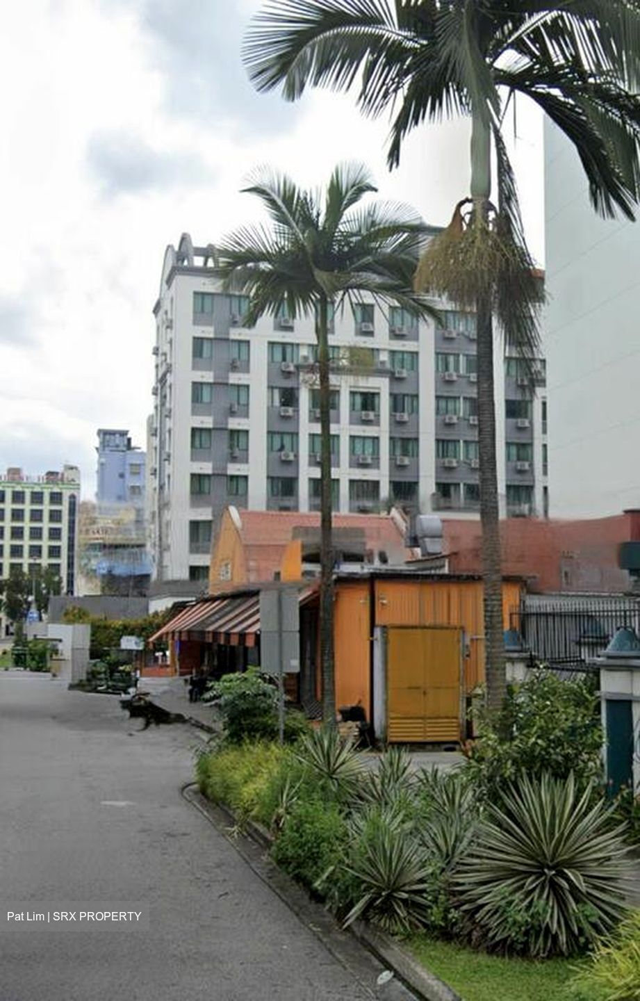 Lorong 12 Geylang (D14), Shop House #454800501